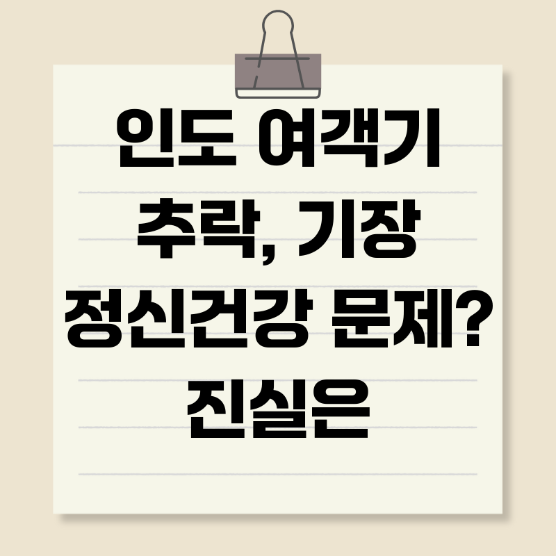 인도 여객기 추락, 기장 정신건강 문제? 진실은